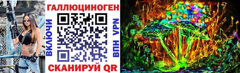 Псилоцибиновые грибы GOLDEN TEACHER  хочу   omg   Махачкала 